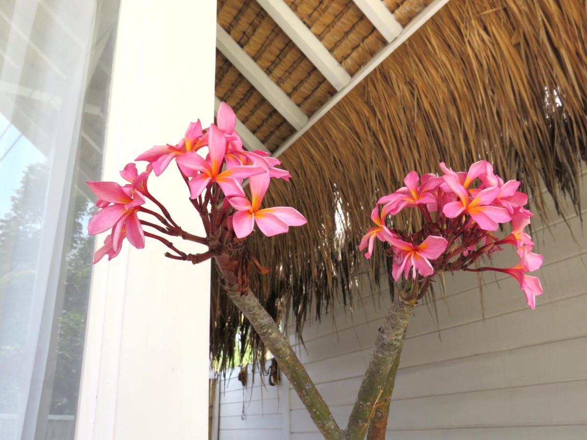 Love Coconut Bungalows Gili Trawangan Exterior photo